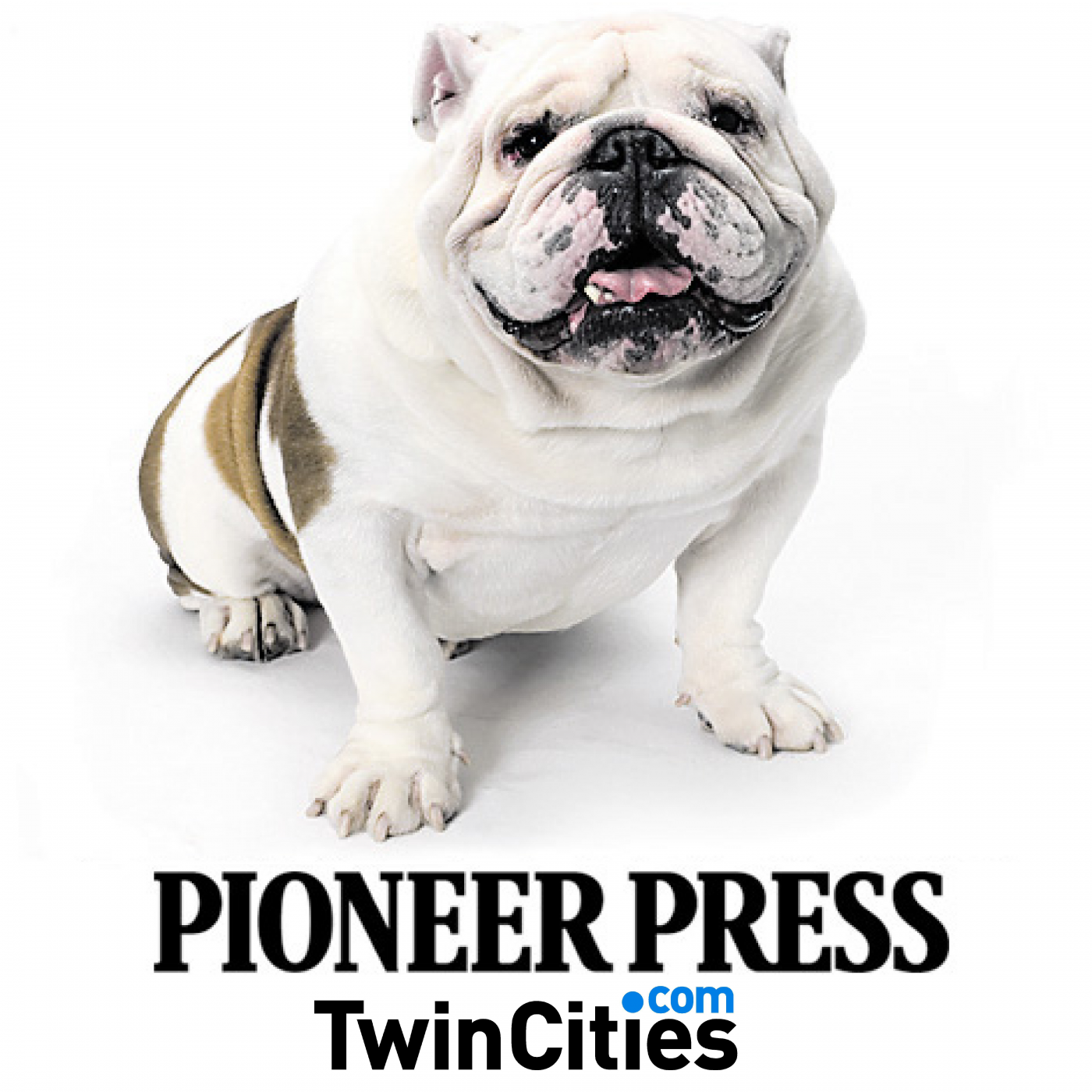 St. Paul Pioneer Press 11/18/19