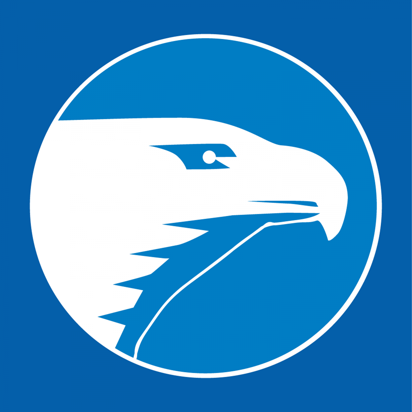 Wichita Eagle Wichita Eagle